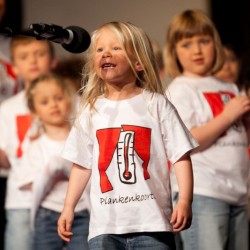 20120608 089 plankenkoorts - Toneelvereniging Plankenkoorts 